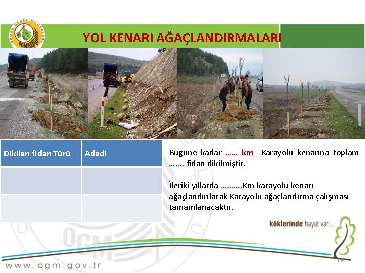 YOL KENARI AĞAÇLANDIRMALARI Dikilen fidan Türü Adedi Bugüne kadar …… km Karayolu kenarına toplam