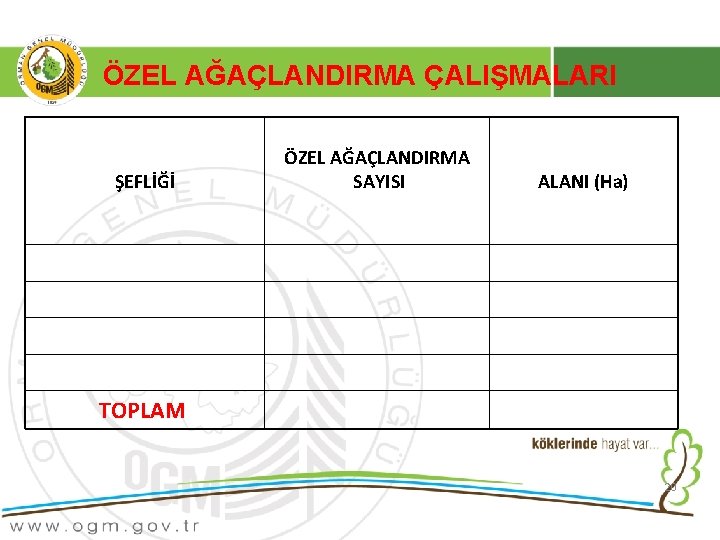 ÖZEL AĞAÇLANDIRMA ÇALIŞMALARI ŞEFLİĞİ ÖZEL AĞAÇLANDIRMA SAYISI ALANI (Ha) TOPLAM 20 