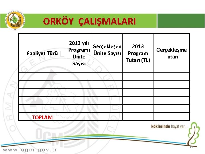 ORKÖY ÇALIŞMALARI Faaliyet Türü TOPLAM 2013 yılı Gerçekleşen 2013 Programı Ünite Sayısı Program Ünite