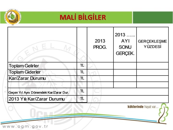 MALİ BİLGİLER 