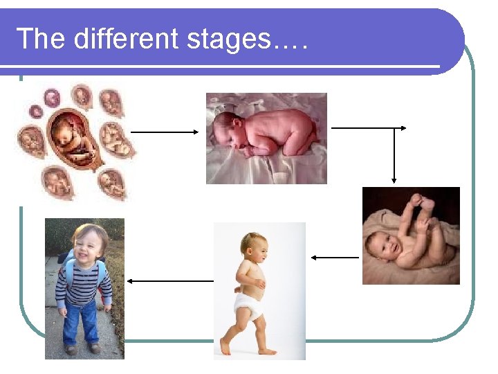 The different stages…. 