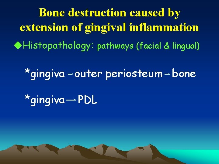 Bone destruction caused by extension of gingival inflammation u. Histopathology: pathways (facial & lingual)