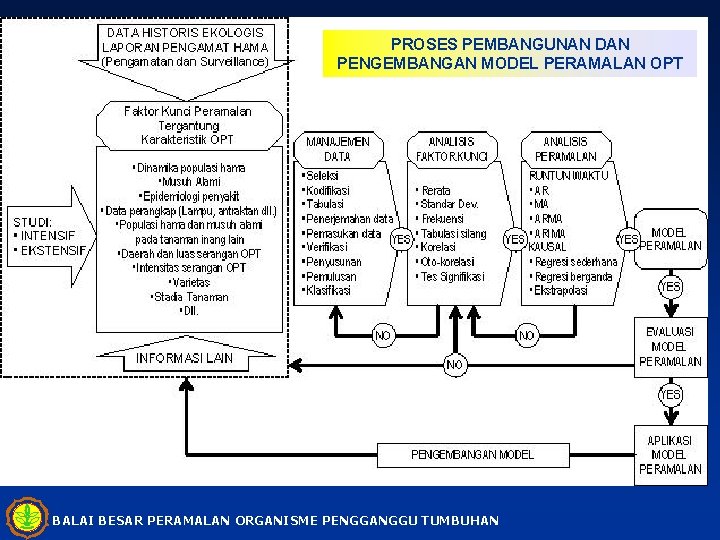 PROSES PEMBANGUNAN DAN PENGEMBANGAN MODEL PERAMALAN OPT BALAI BESAR PERAMALAN ORGANISME PENGGANGGU TUMBUHAN 