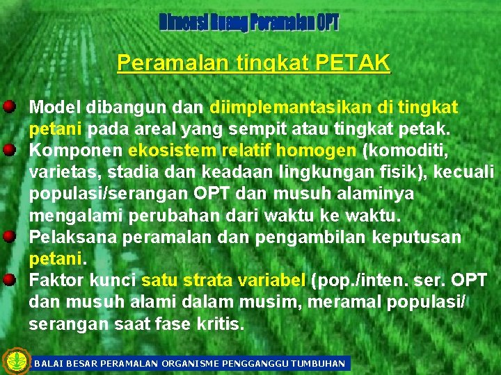 Peramalan tingkat PETAK Model dibangun dan diimplemantasikan di tingkat petani pada areal yang sempit