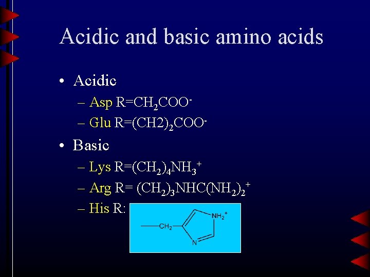 Acidic and basic amino acids • Acidic – Asp R=CH 2 COO– Glu R=(CH