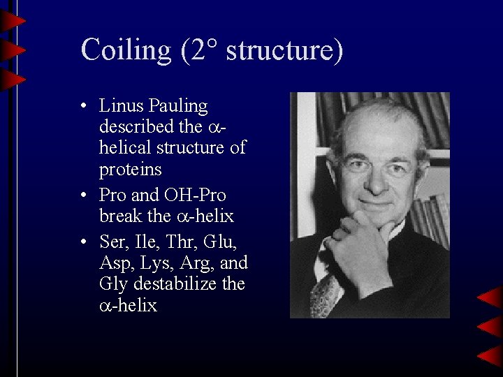 Coiling (2 structure) • Linus Pauling described the helical structure of proteins • Pro