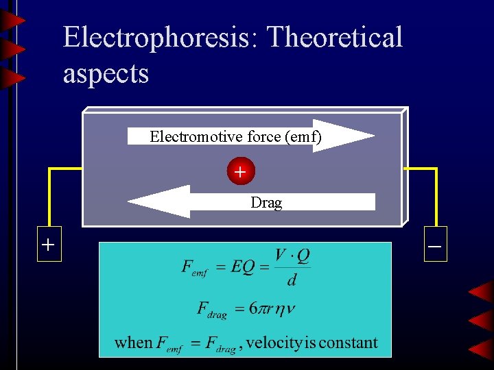 Electrophoresis: Theoretical aspects Electromotive force (emf) + Drag + – 