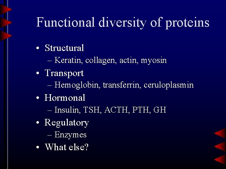 Functional diversity of proteins • Structural – Keratin, collagen, actin, myosin • Transport –