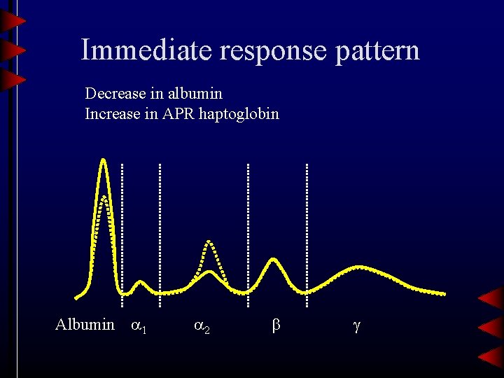 Immediate response pattern Decrease in albumin Increase in APR haptoglobin Albumin 1 2 