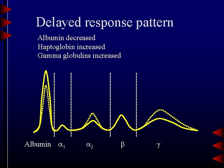Delayed response pattern Albumin decreased Haptoglobin increased Gamma globulins increased Albumin 1 2 