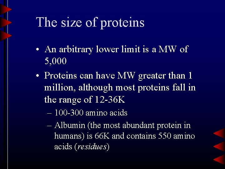 The size of proteins • An arbitrary lower limit is a MW of 5,