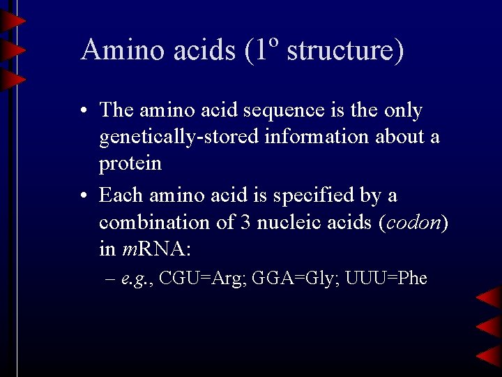 Amino acids (1º structure) • The amino acid sequence is the only genetically-stored information