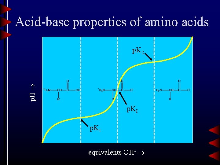 Acid-base properties of amino acids p. H p. K 2 p. KI p. K