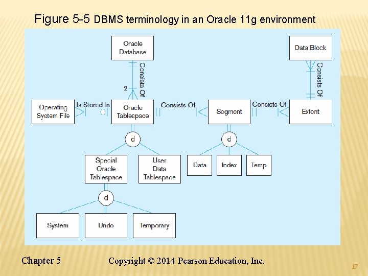 Figure 5 -5 DBMS terminology in an Oracle 11 g environment Chapter 5 Copyright