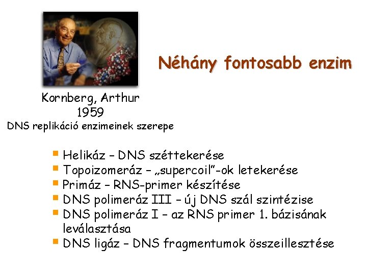 Néhány fontosabb enzim Kornberg, Arthur 1959 DNS replikáció enzimeinek szerepe § Helikáz – DNS