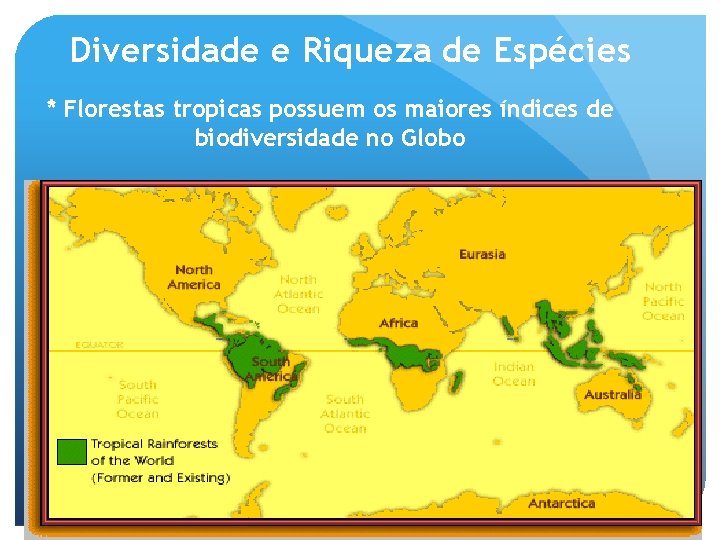 Diversidade e Riqueza de Espécies * Florestas tropicas possuem os maiores índices de biodiversidade