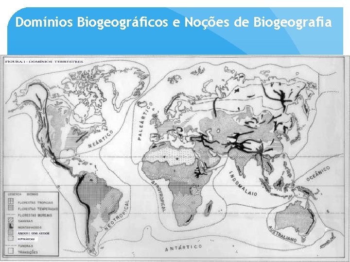 Domínios Biogeográficos e Noções de Biogeografia 