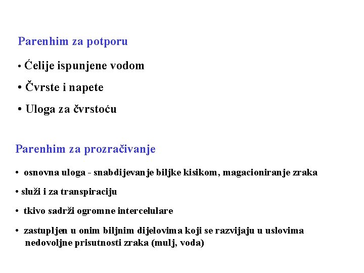 Parenhim za potporu • Ćelije ispunjene vodom • Čvrste i napete • Uloga za