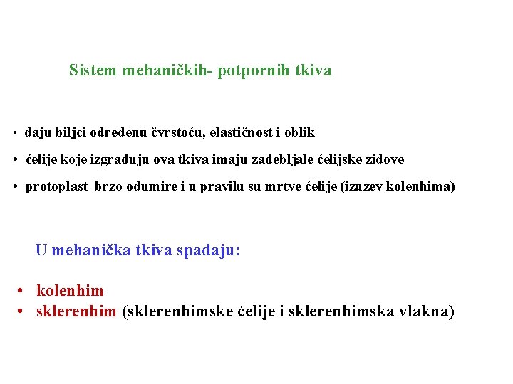 Sistem mehaničkih- potpornih tkiva • daju biljci određenu čvrstoću, elastičnost i oblik • ćelije