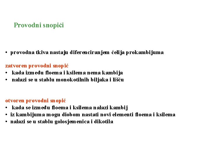 Provodni snopići • provodna tkiva nastaju diferenciranjem ćelija prokambijuma zatvoren provodni snopić • kada