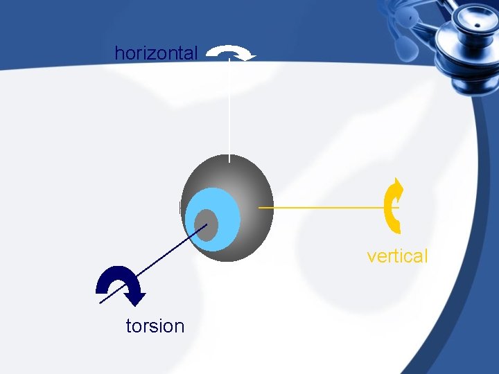 horizontal vertical torsion 