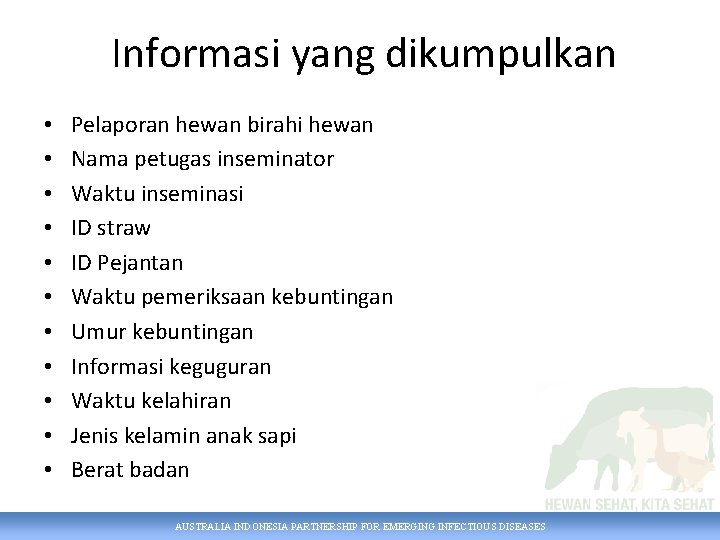 Informasi yang dikumpulkan • • • Pelaporan hewan birahi hewan Nama petugas inseminator Waktu