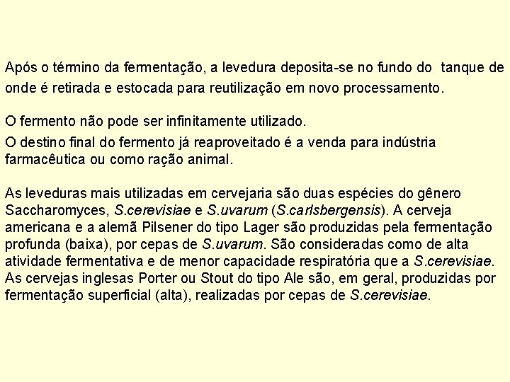 Após o término da fermentação, a levedura deposita-se no fundo do tanque de onde