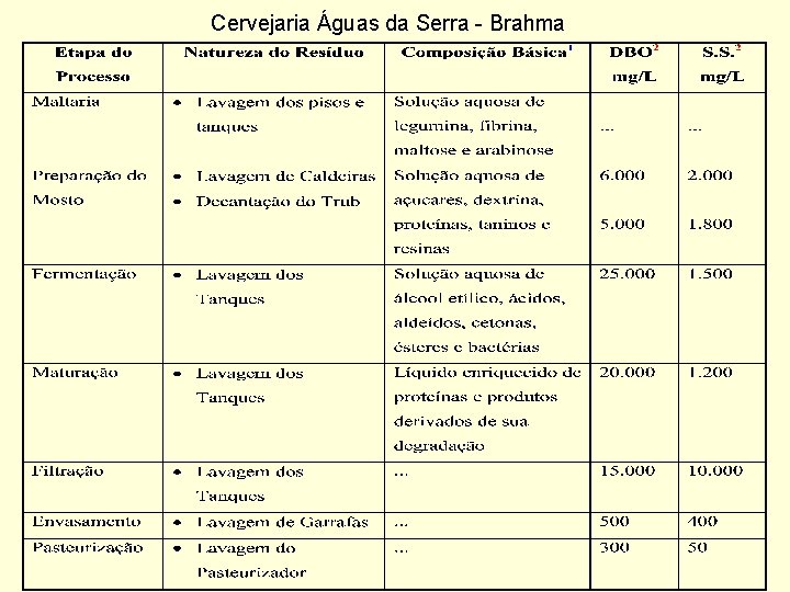 Cervejaria Águas da Serra - Brahma 