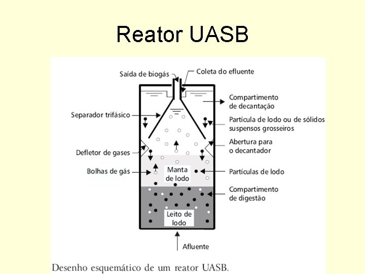 Reator UASB 