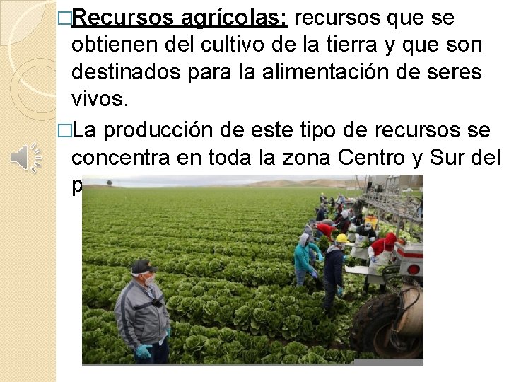 �Recursos agrícolas: recursos que se obtienen del cultivo de la tierra y que son