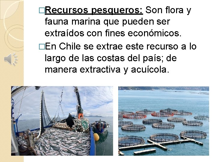 �Recursos pesqueros: Son flora y fauna marina que pueden ser extraídos con fines económicos.