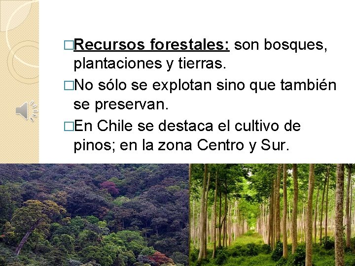 �Recursos forestales: son bosques, plantaciones y tierras. �No sólo se explotan sino que también