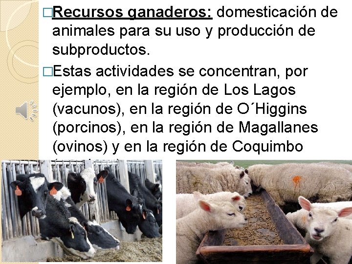 �Recursos ganaderos: domesticación de animales para su uso y producción de subproductos. �Estas actividades