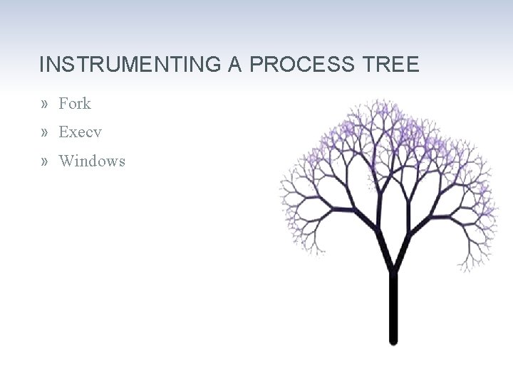 INSTRUMENTING A PROCESS TREE » Fork » Execv » Windows 