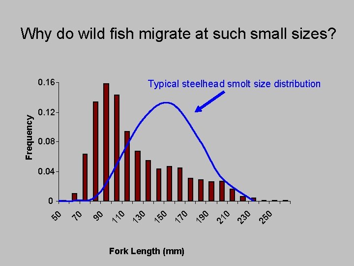 Why do wild fish migrate at such small sizes? Typical steelhead smolt size distribution