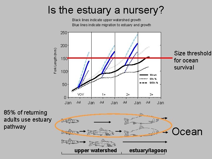 Is the estuary a nursery? Black lines indicate upper watershed growth Blue lines indicate