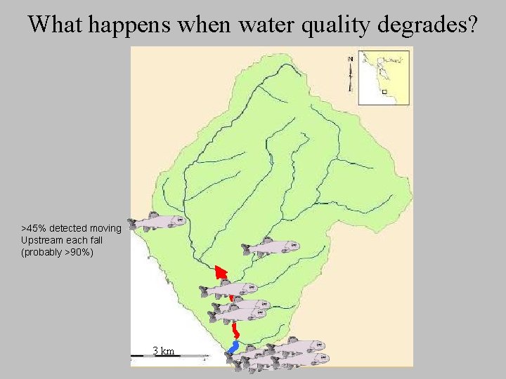 What happens when water quality degrades? >45% detected moving Upstream each fall (probably >90%)