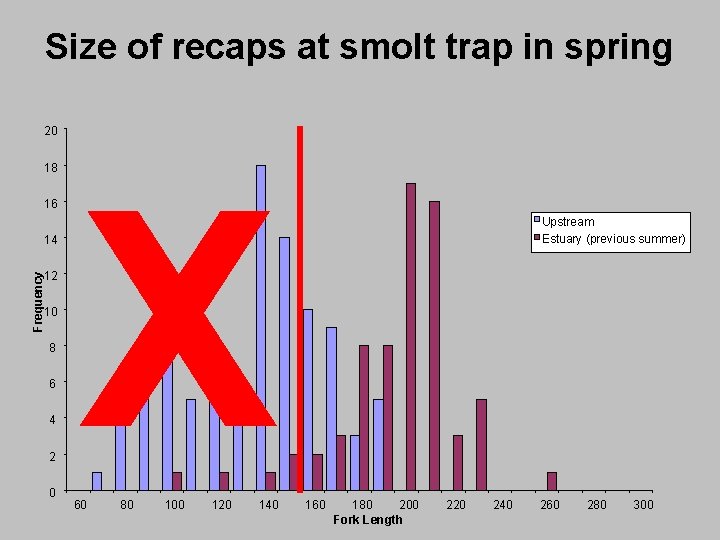 Size of recaps at smolt trap in spring 20 18 16 Frequency 14 12