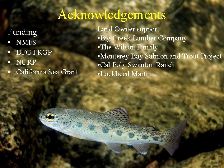 Acknowledgements Funding • • NMFS DFG FRGP NURP California Sea Grant Land Owner support