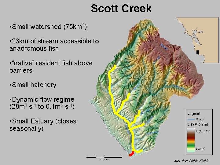 Scott Creek • Small watershed (75 km 2) • 23 km of stream accessible