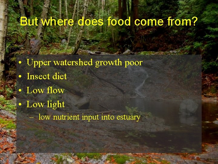 But where does food come from? • • Upper watershed growth poor Insect diet