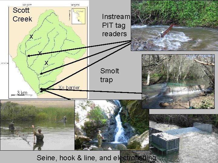 Scott Creek Instream PIT tag readers x x x Smolt trap 3 km X=