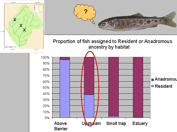 ? x x x Proportion of fish assigned to Resident or Anadromous ancestry by