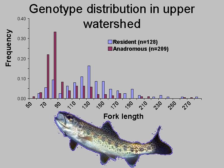 0. 30 Resident (n=128) Anadromous (n=209) 0. 20 0. 10 Fork length 27 0