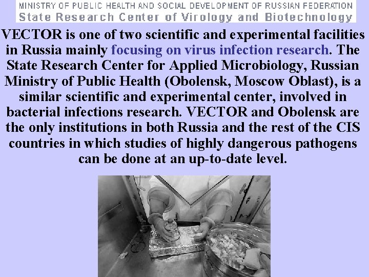 VECTOR is one of two scientific and experimental facilities in Russia mainly focusing on