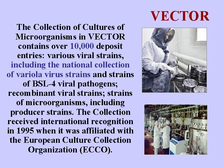 The Collection of Cultures of Microorganisms in VECTOR contains over 10, 000 deposit entries: