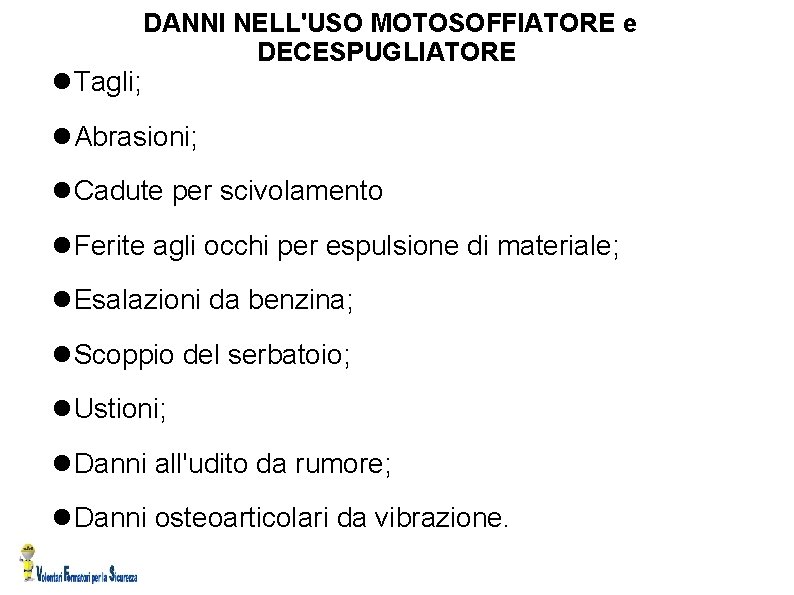  Tagli; DANNI NELL'USO MOTOSOFFIATORE e DECESPUGLIATORE Abrasioni; Cadute per scivolamento Ferite agli occhi