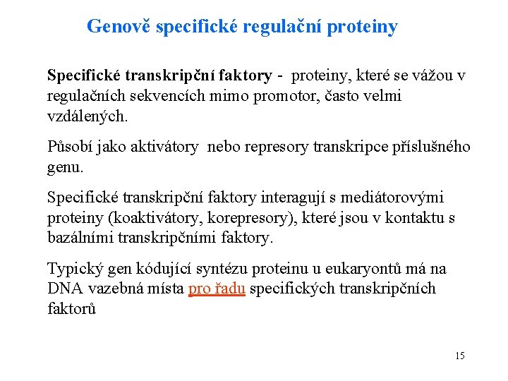 Genově specifické regulační proteiny Specifické transkripční faktory - proteiny, které se vážou v regulačních