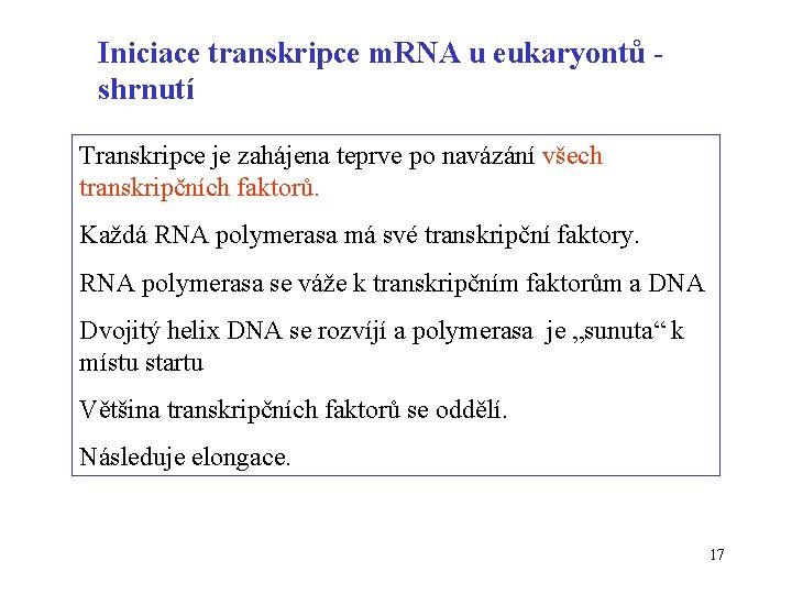 Iniciace transkripce m. RNA u eukaryontů shrnutí Transkripce je zahájena teprve po navázání všech