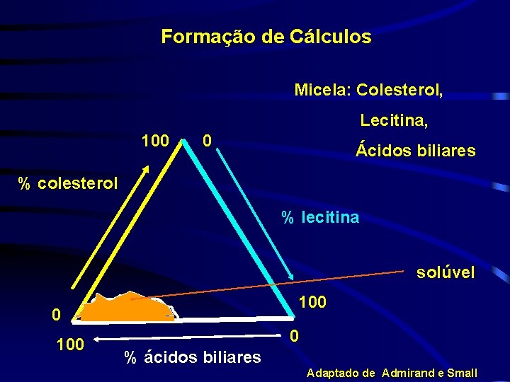 Formação de Cálculos Micela: Colesterol, Lecitina, 100 0 Ácidos biliares % colesterol % lecitina